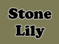 Stone Lily