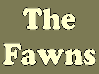 The Fawns